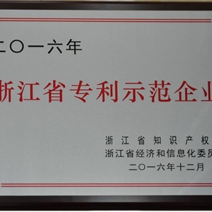 湖州新開(kāi)元 浙江省專(zhuān)利示范企業(yè)